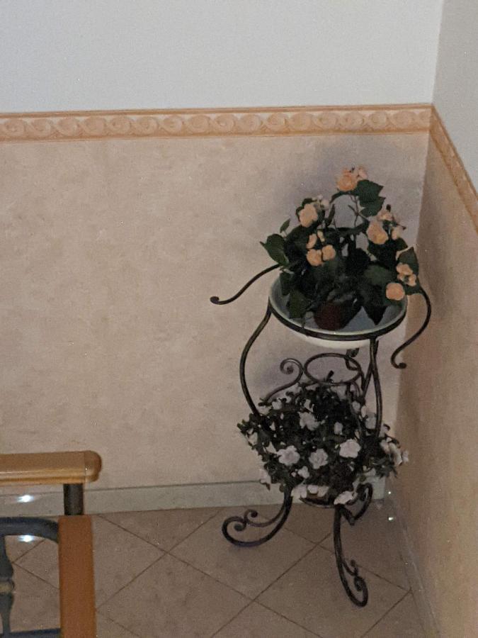 D'Elite Room & Breakfast Ферара Екстериор снимка